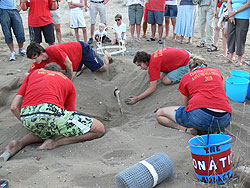 Turtle Watching in Alagadi Beach Kyrenia Cyprus