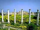 Salamis Ruins