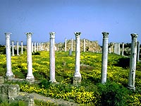 Salamis Ruins