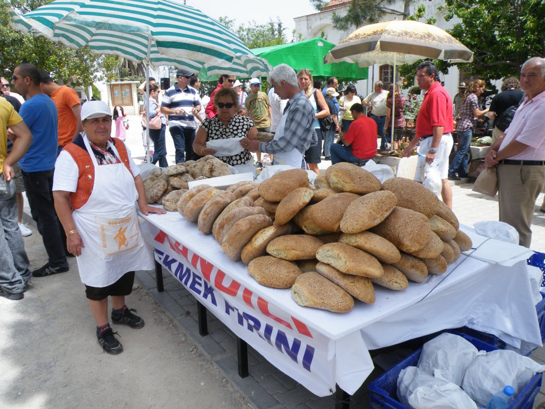 9th Eco-Day Festival at Buyukkonuk
